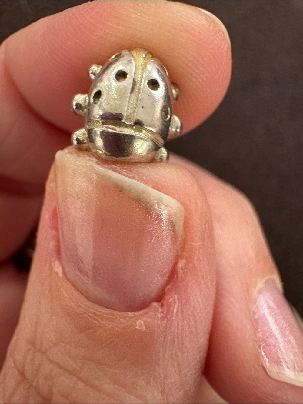 Sterling Silver ladybug charm